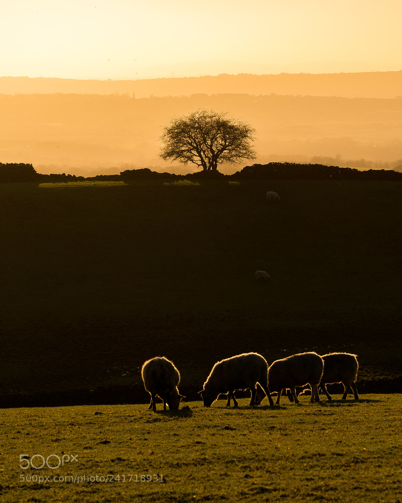 Sony a6500 sample photo. Anglezarke moor this afternoon photography