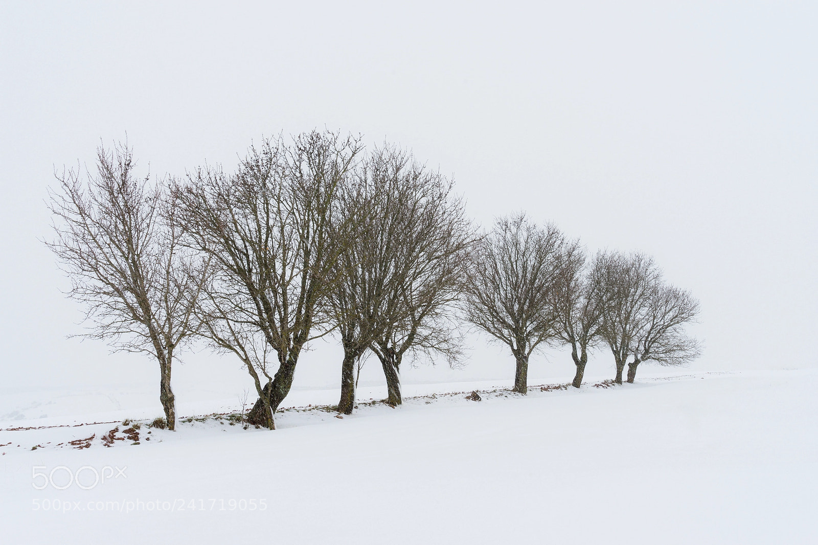 Sony a7 II sample photo. Destemplanza. photography