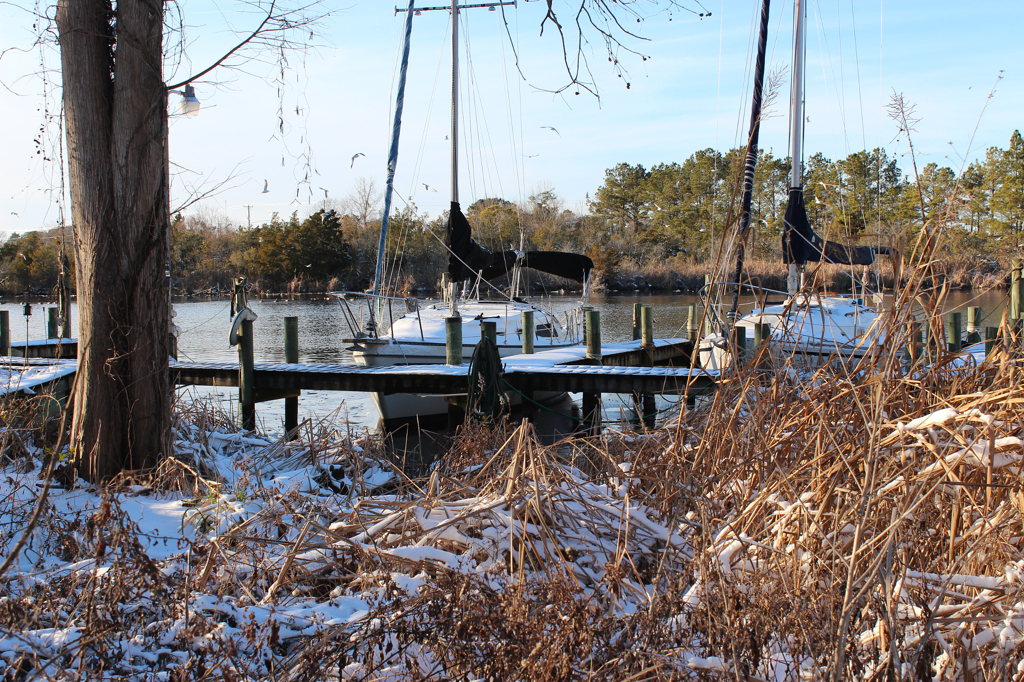 Canon EOS 650D (EOS Rebel T4i / EOS Kiss X6i) sample photo. Snow at the dock photography