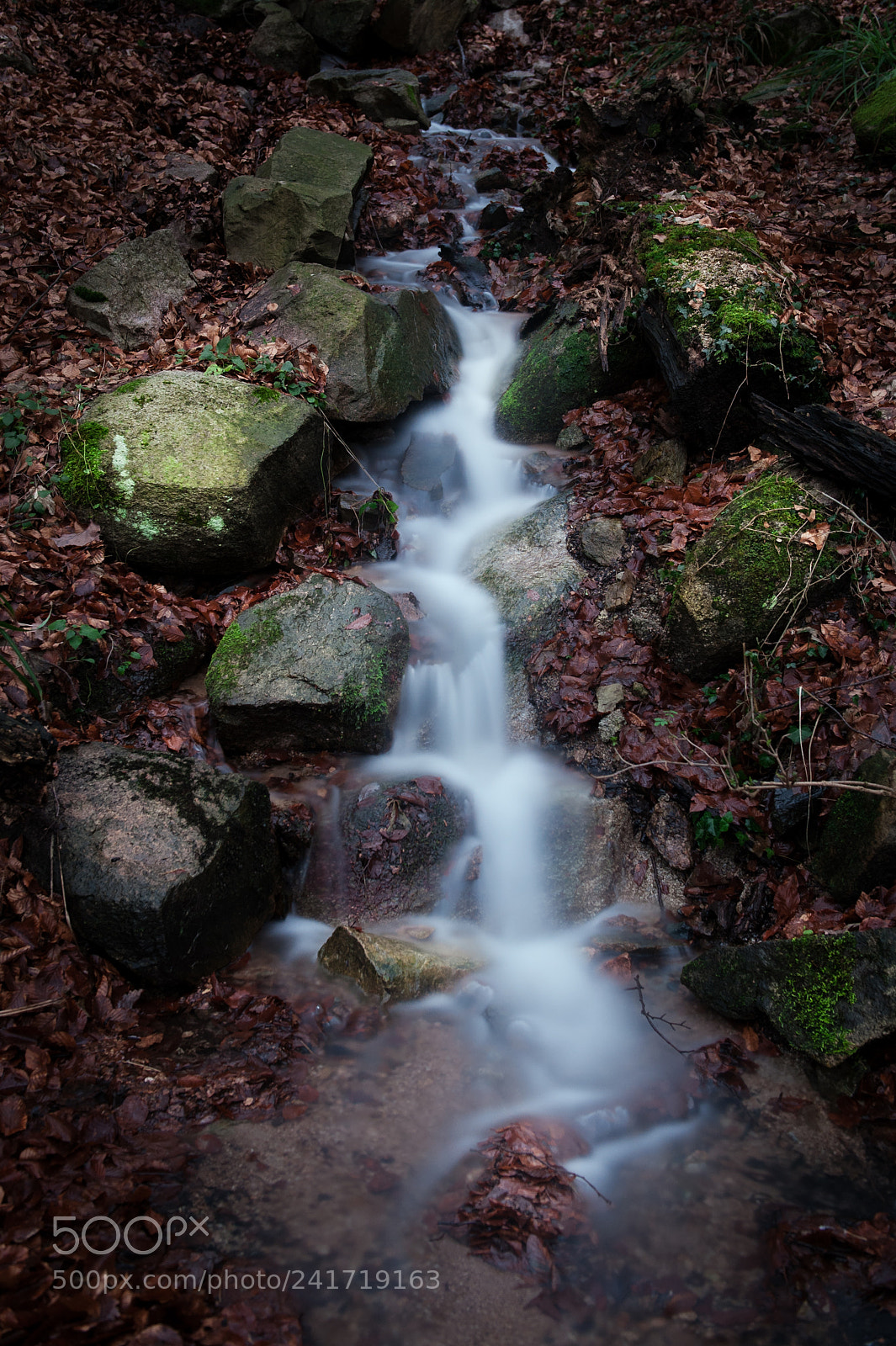 Nikon D700 sample photo. 30 second stream photography