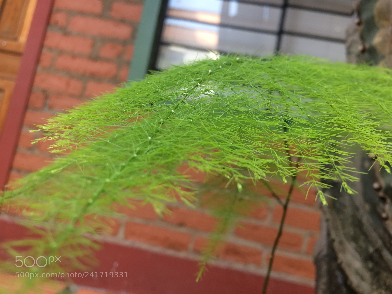 Apple iPhone 5s sample photo. Untitled photography