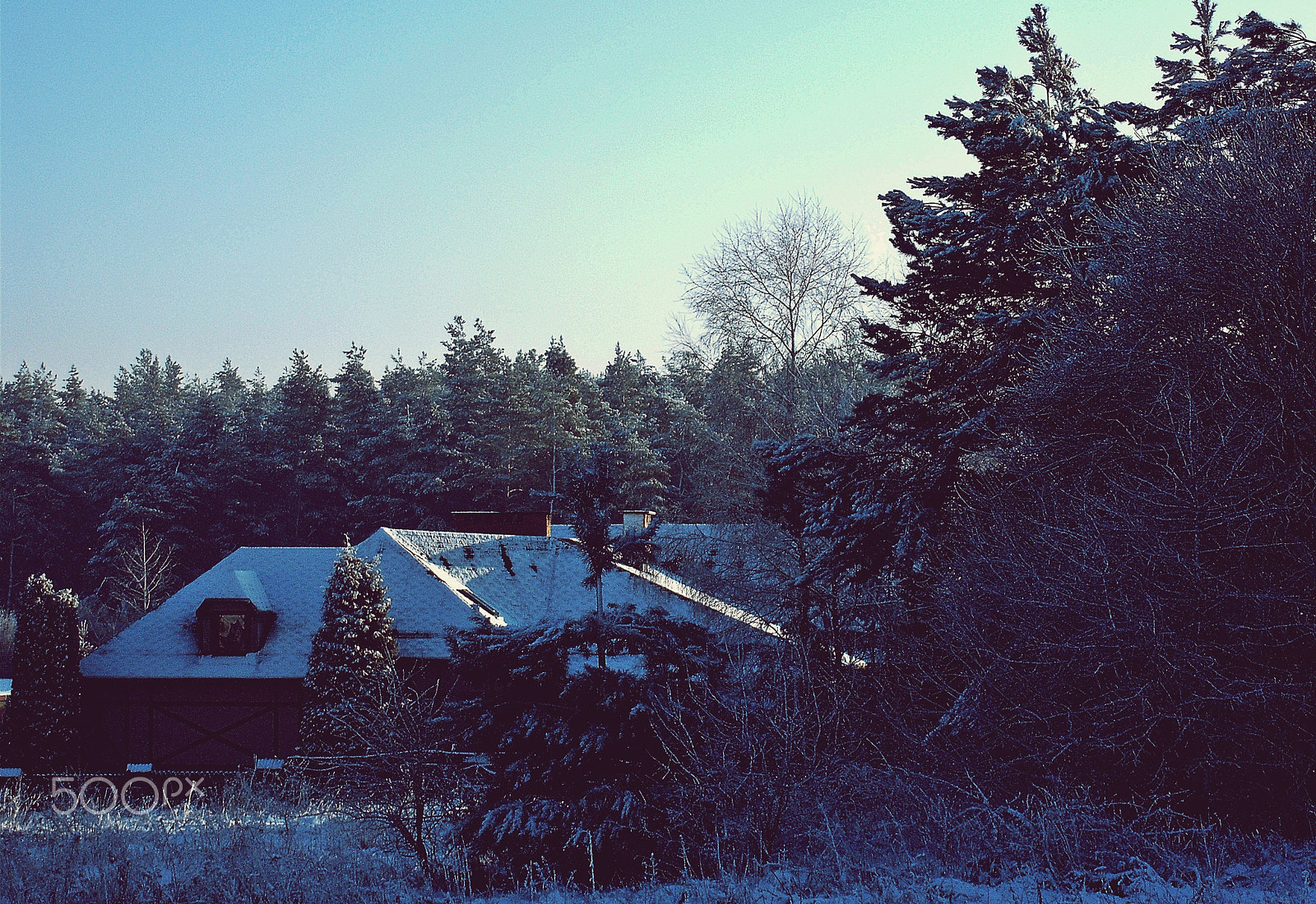 Fujifilm A850 sample photo. Winter cottage photography