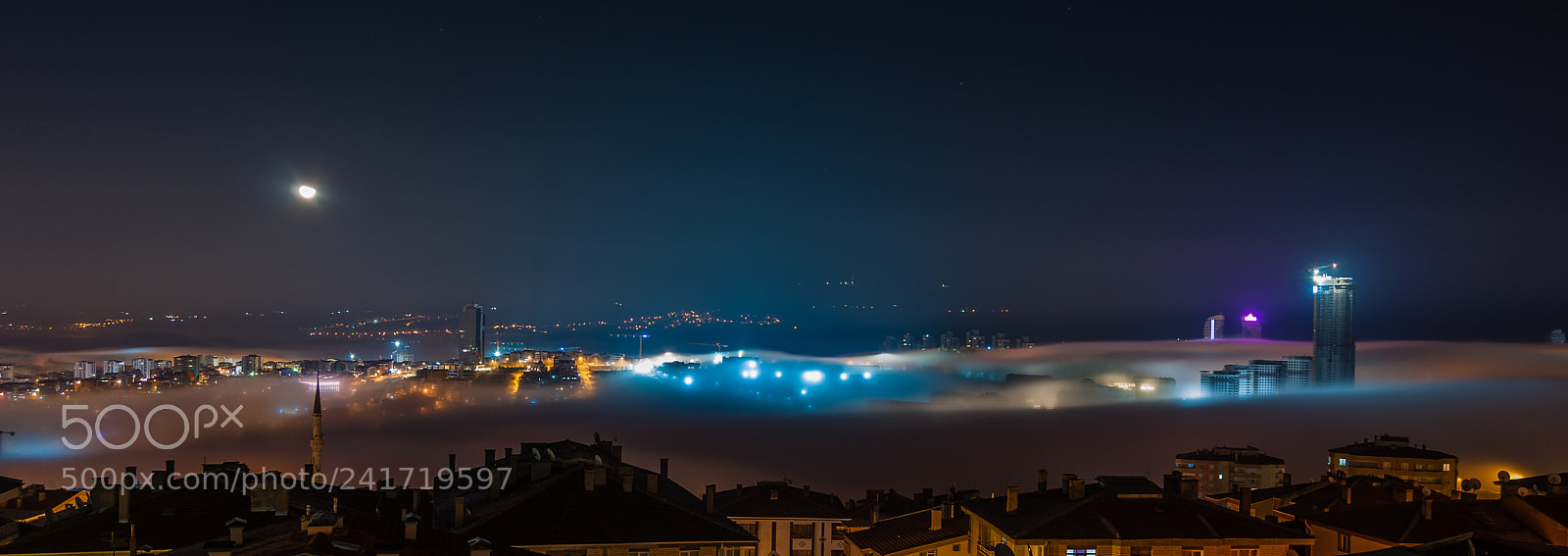 Nikon D300S sample photo. Foggy weather photography