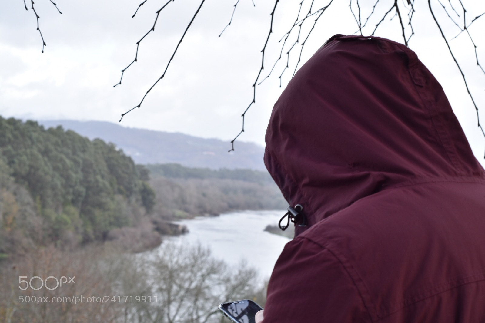 Nikon D5500 sample photo. Untitled photography