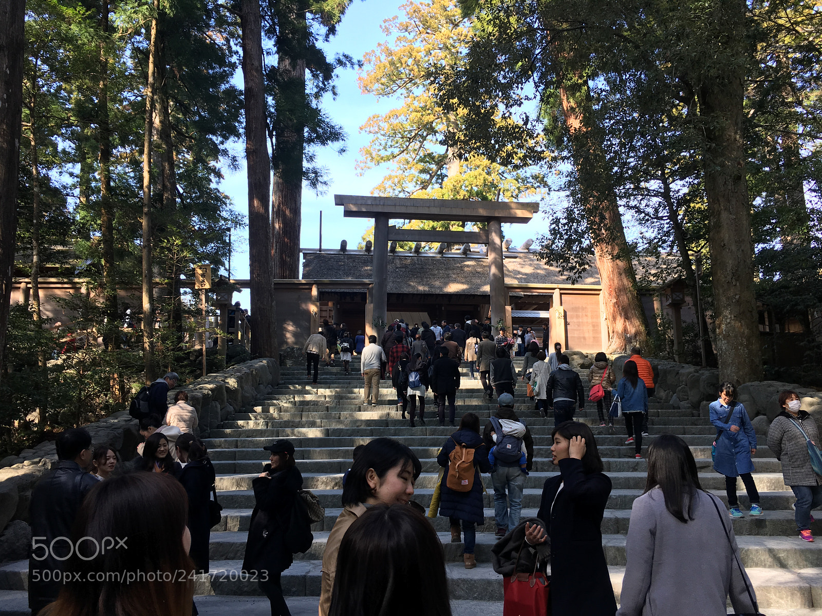 Apple iPhone 6s sample photo. Ise jingu naiku photography