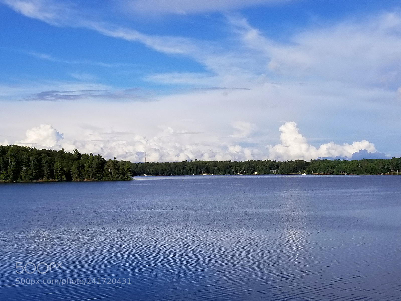 Samsung Galaxy S8+ sample photo. Untitled photography