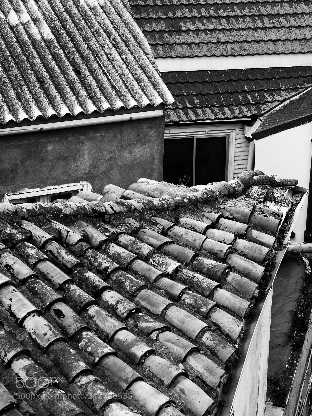 Fujifilm X-T1 sample photo. Took a walk around photography