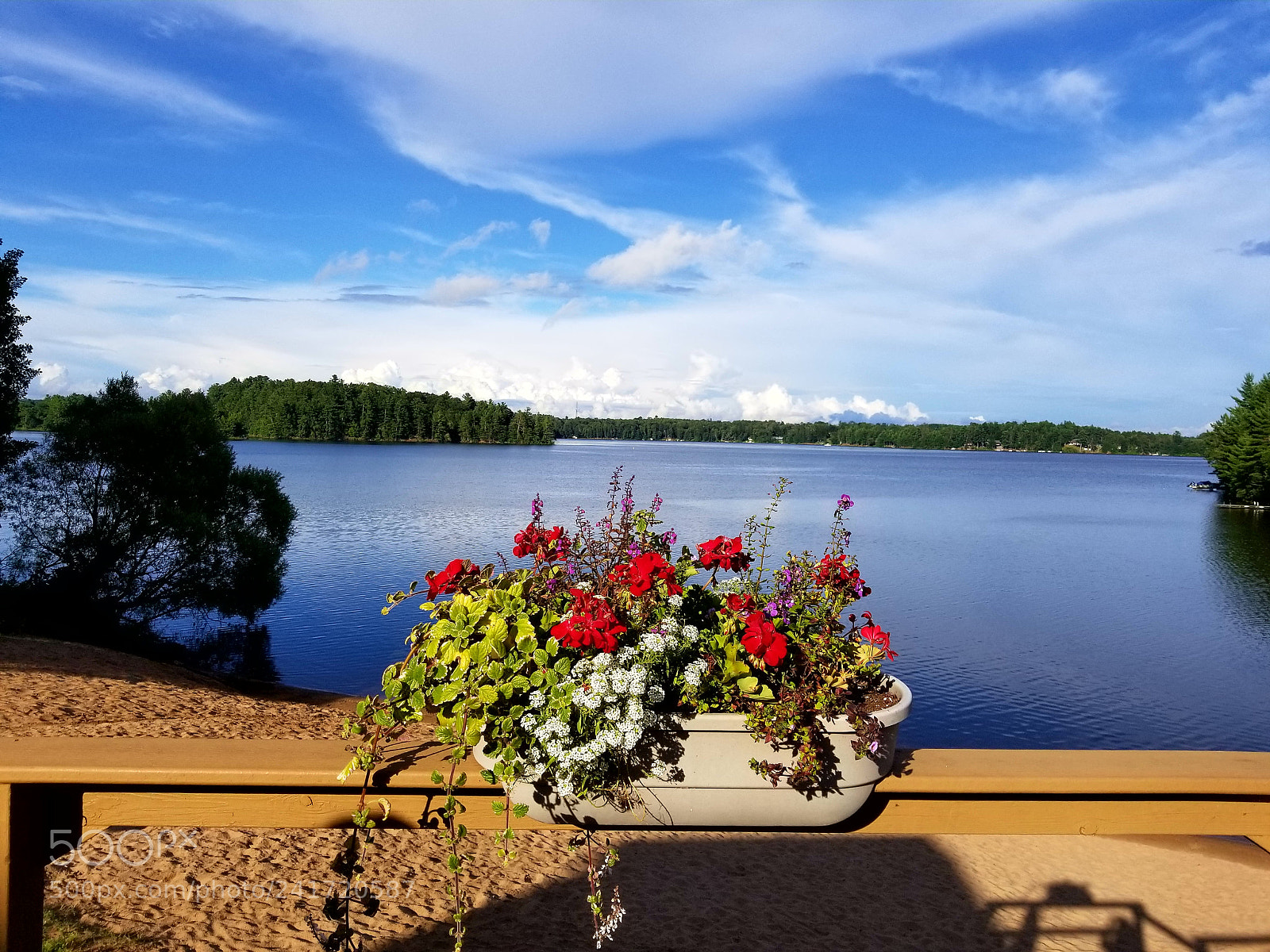 Samsung Galaxy S8+ sample photo. Untitled photography