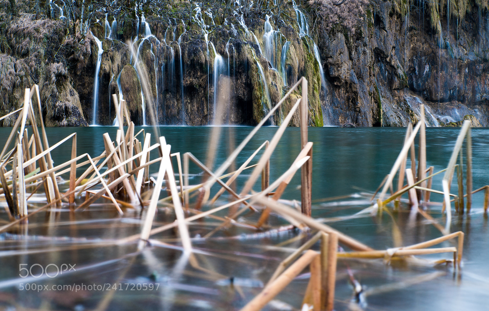 Sony a7S sample photo. Water, stone, reed photography