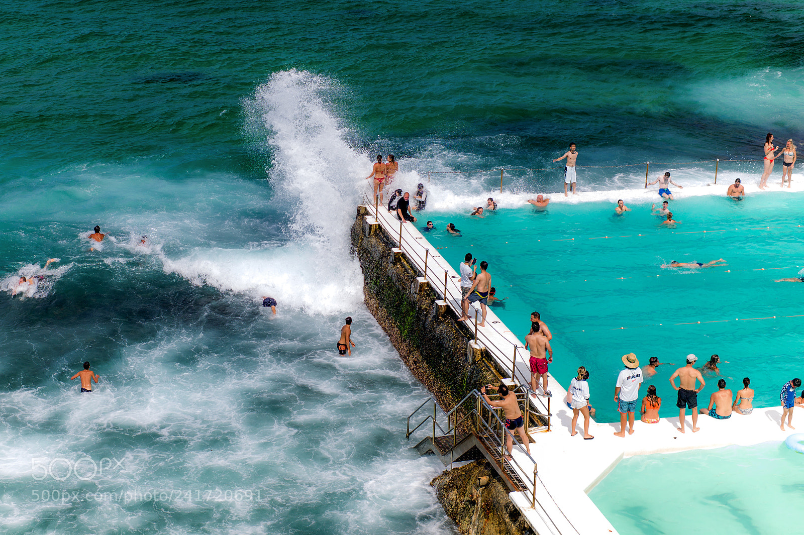 Leica M9 sample photo. Those iceberg blues photography