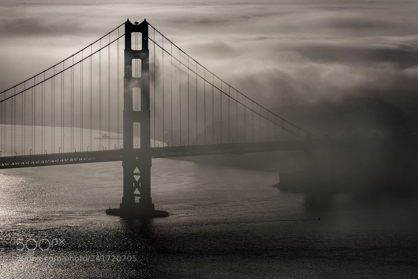 Nikon D810 sample photo. Fogged in @ san francisco photography