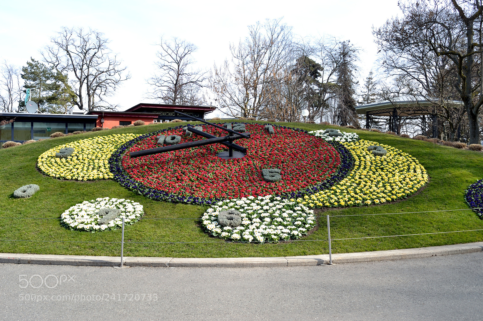 Nikon D3100 sample photo. Ticking flowers photography