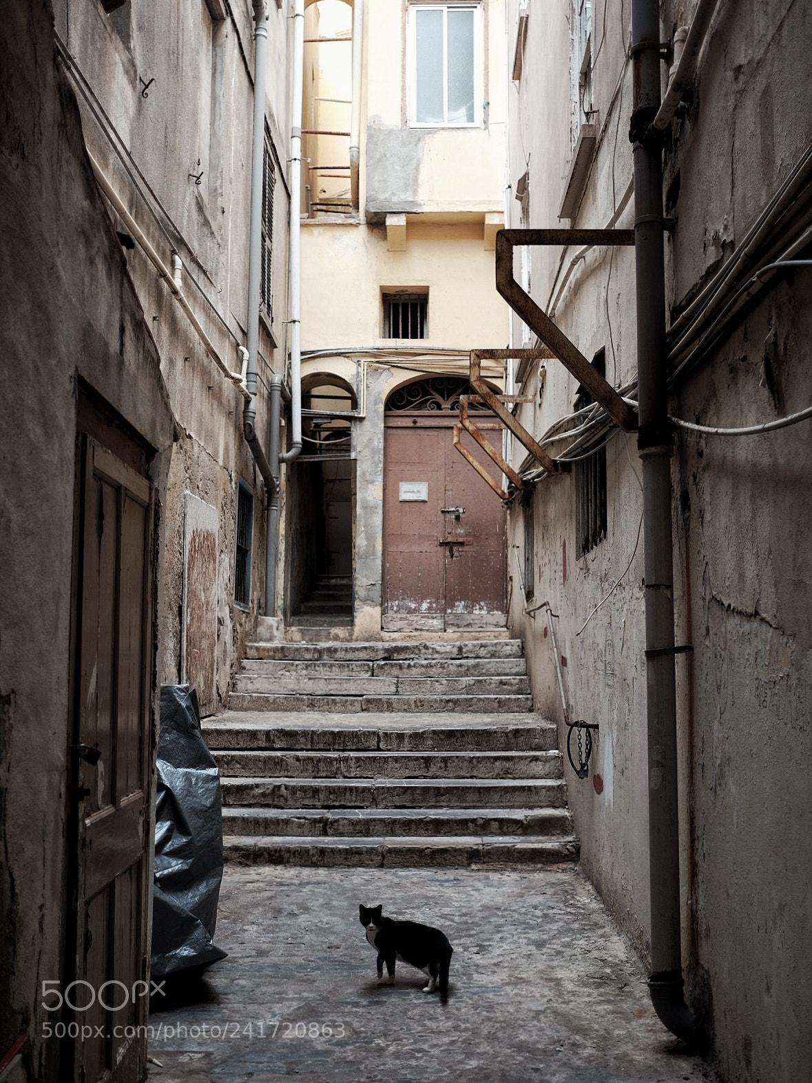 Fujifilm X-T1 sample photo. Getting lost in the photography