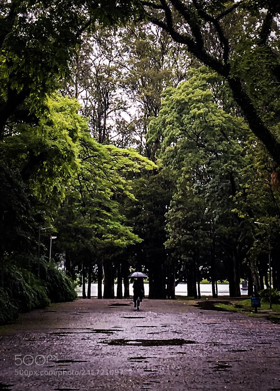 Apple iPhone 6s Plus sample photo. Just rain (colors) photography