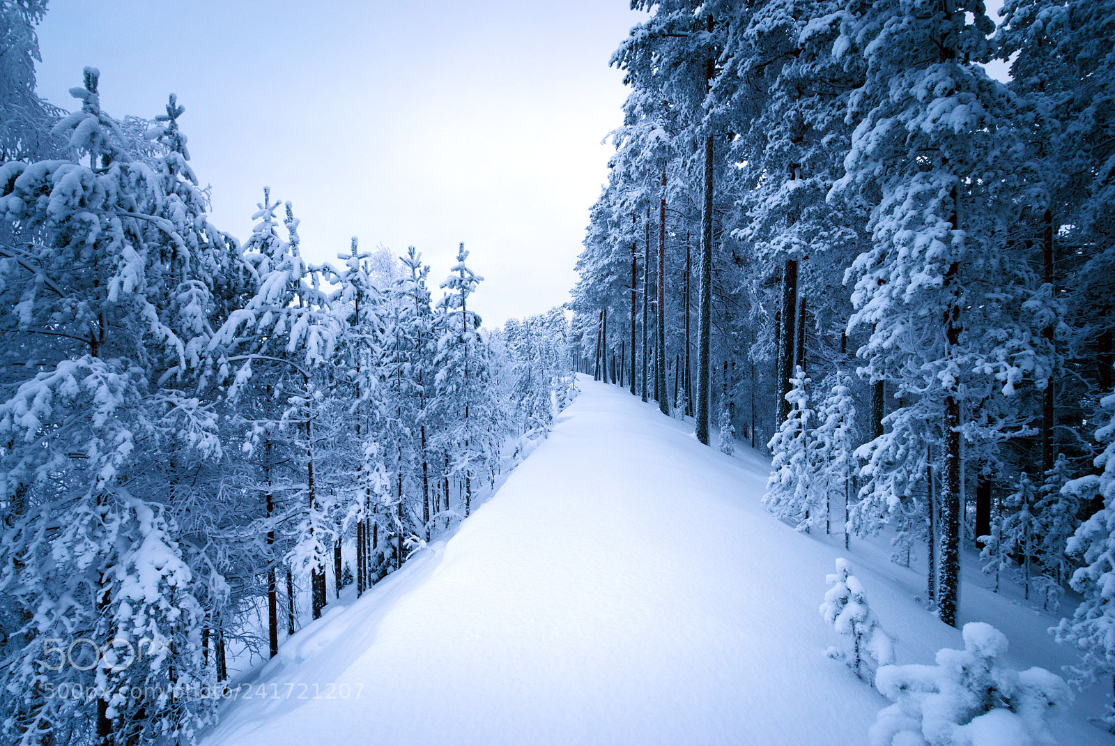 Pentax K-1 sample photo. Winter landscape photography