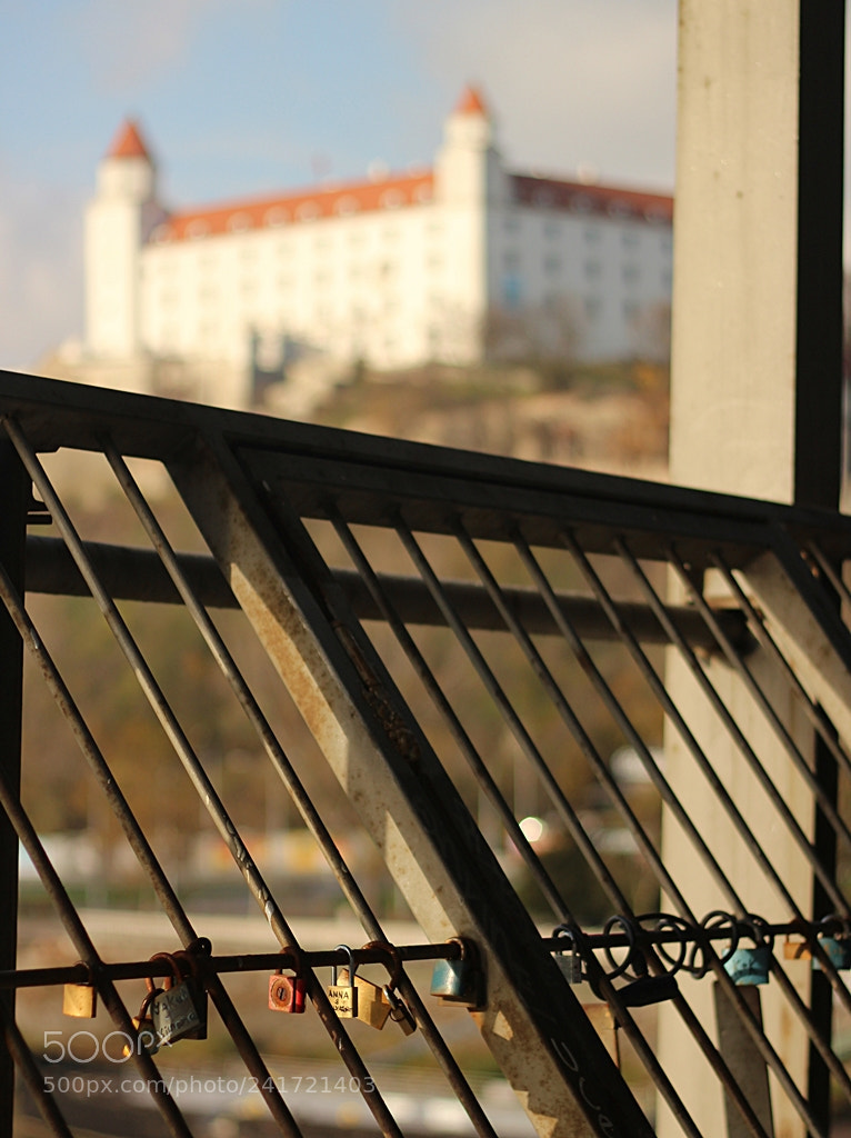 Canon EOS 600D (Rebel EOS T3i / EOS Kiss X5) + Canon EF 50mm F1.8 II sample photo. Castles photography