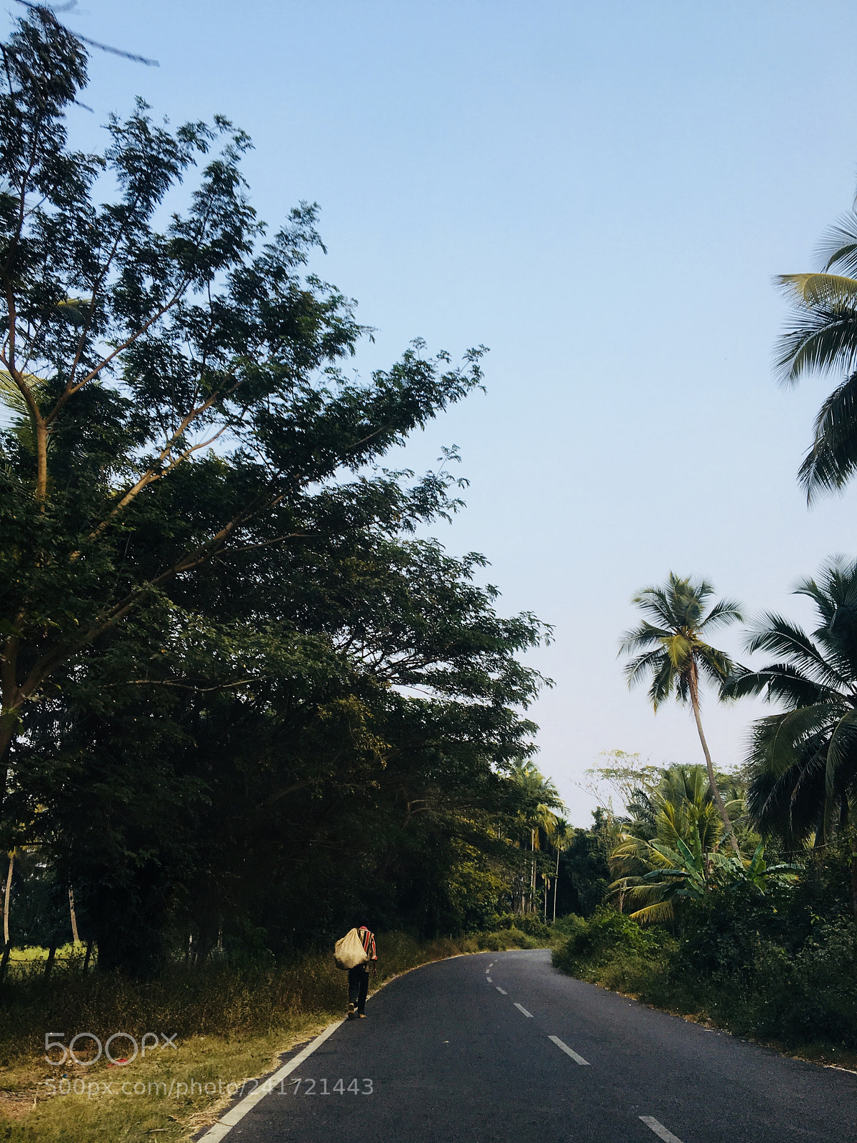 Apple iPhone 6s sample photo. . photography