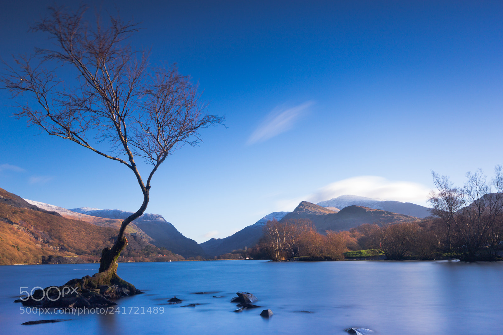 Canon EOS 60D sample photo. Lone tree, snowdonia, wales photography