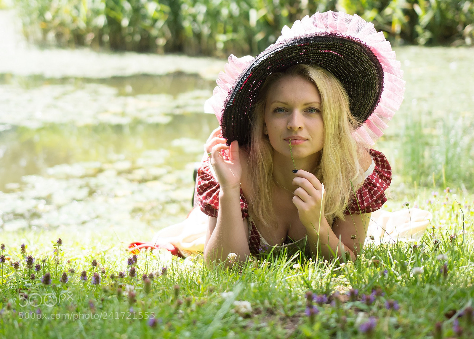 Nikon D7100 sample photo. In the garden photography