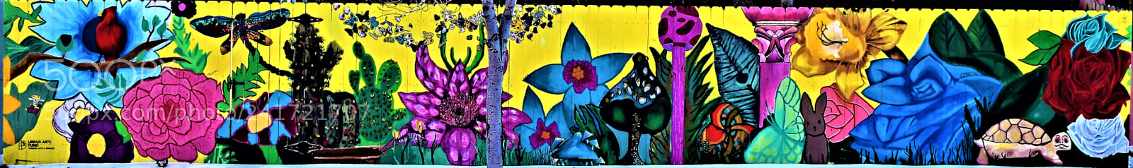 Nikon D3400 sample photo. Street art denver photography