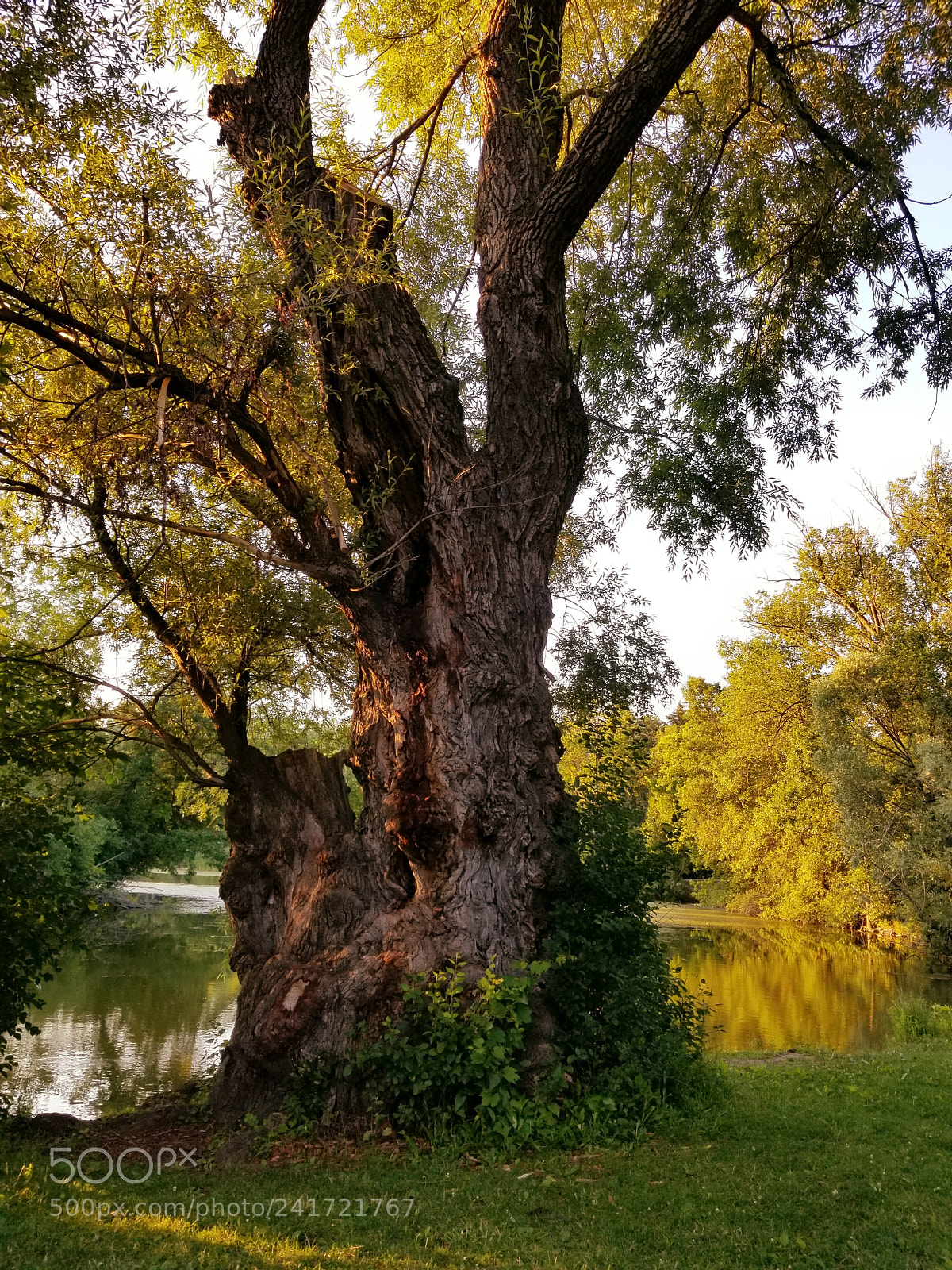 Samsung Galaxy S8+ sample photo. Untitled photography