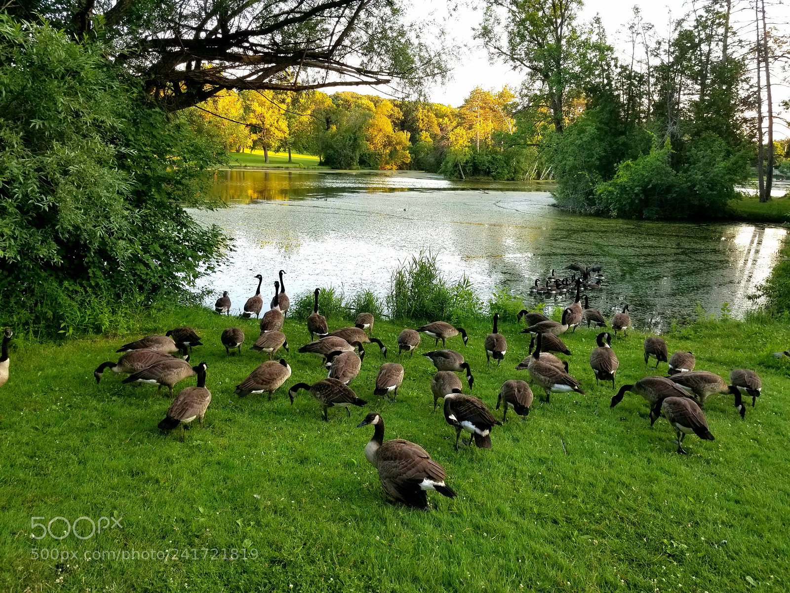 Samsung Galaxy S8+ sample photo. Untitled photography