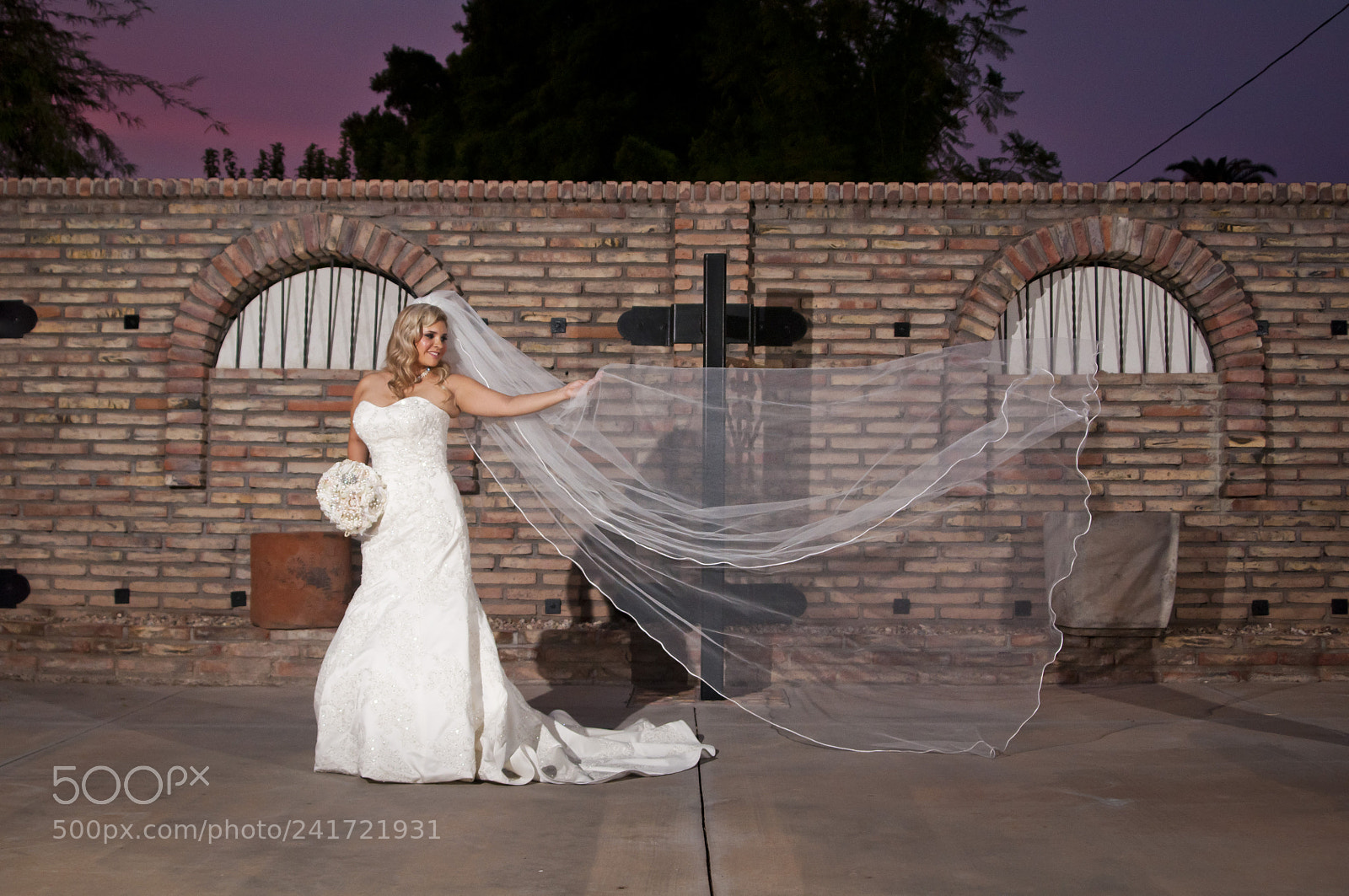 Nikon D90 sample photo. Veil photography