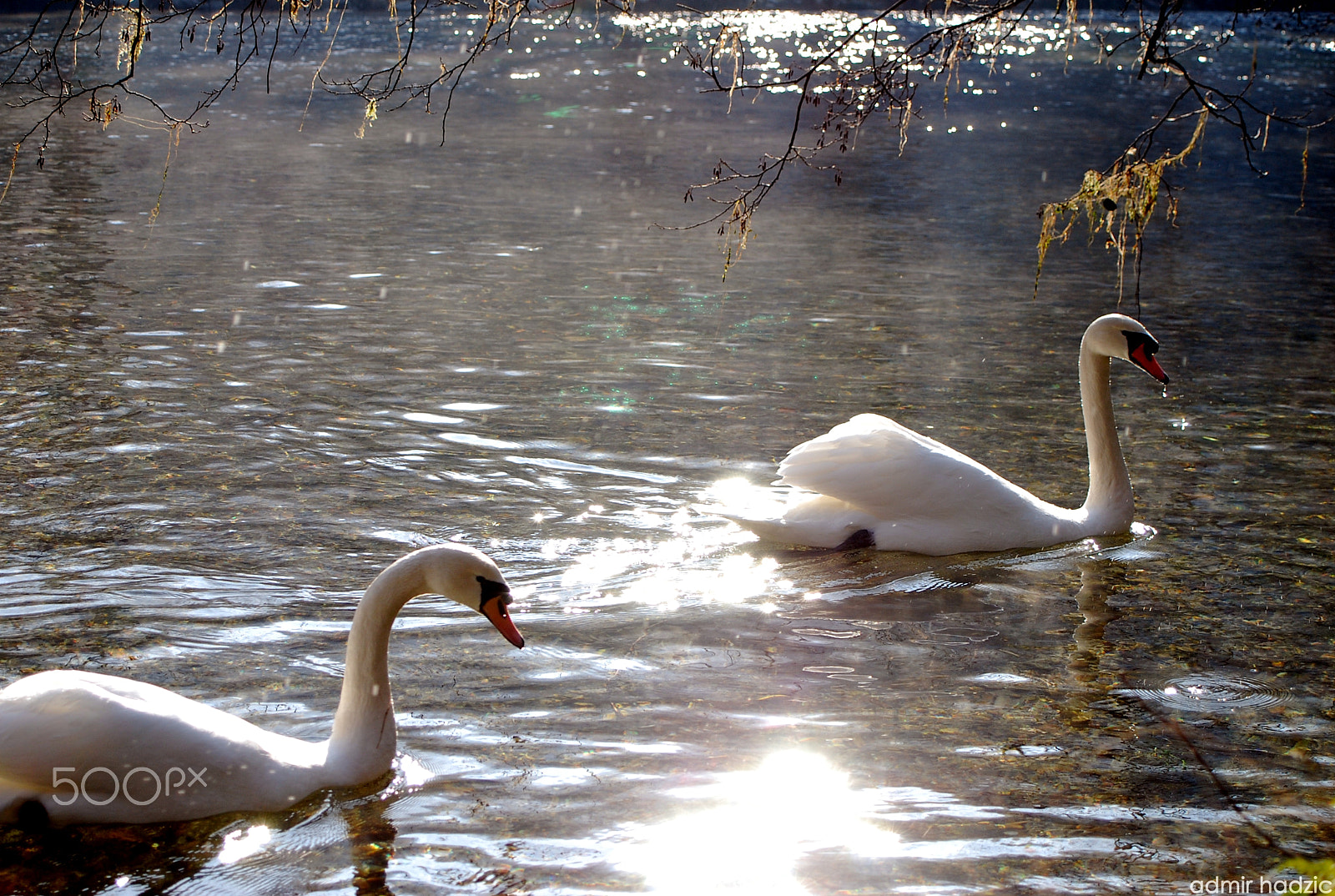 Nikon D80 + AF Zoom-Nikkor 35-80mm f/4-5.6D N sample photo. ｃｏｚｙ ｉｎｔｉｍａｃｙ photography