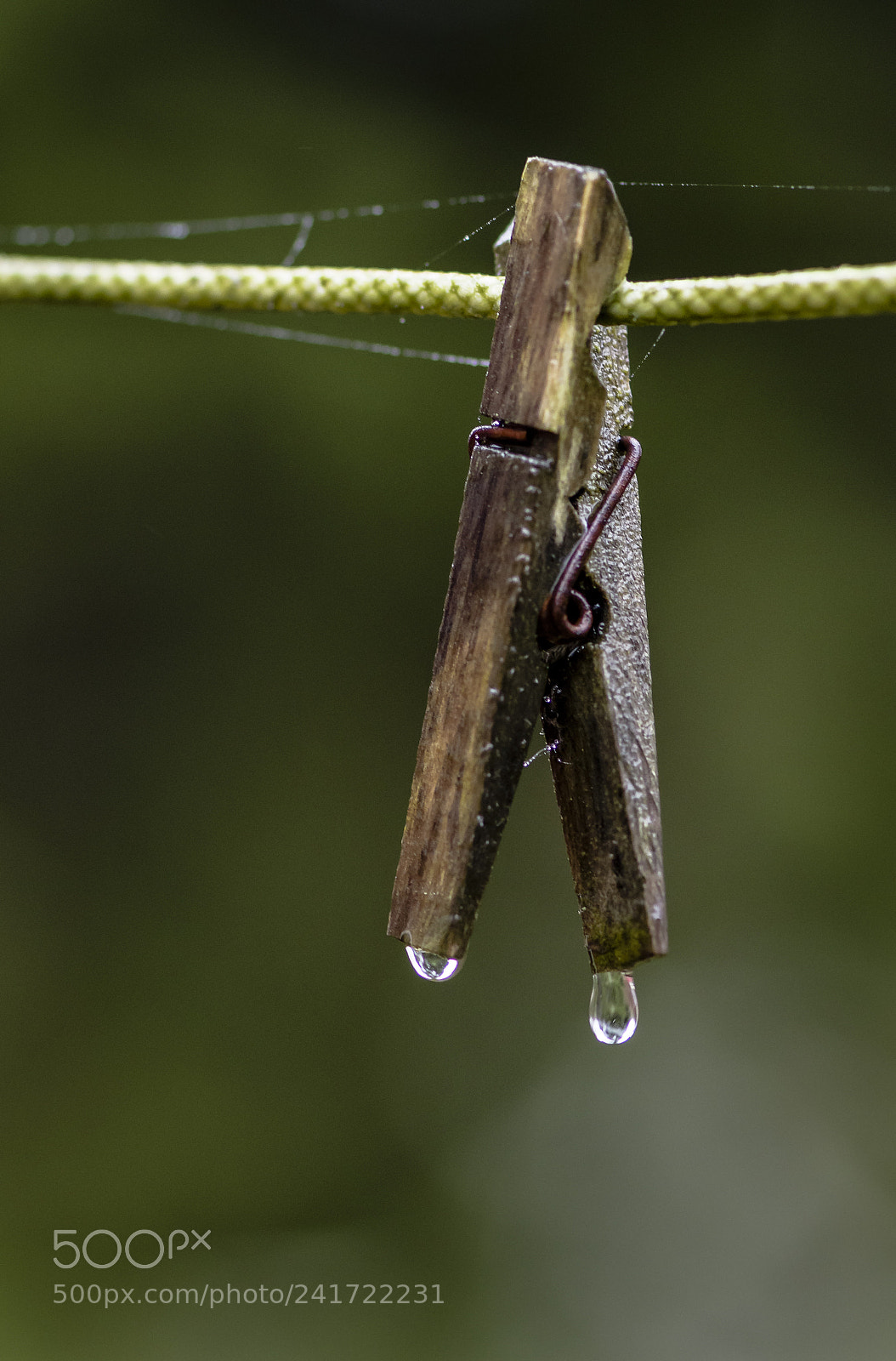 Nikon D500 sample photo. Clothespin photography
