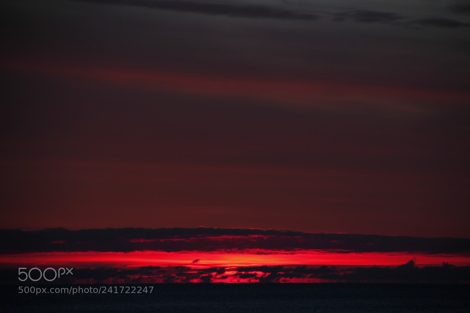 Canon EF-S 18-135mm F3.5-5.6 IS sample photo. Cortex photography