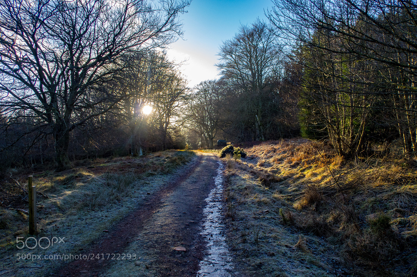 Canon PowerShot G7 X sample photo. Rothbury, northumberland photography