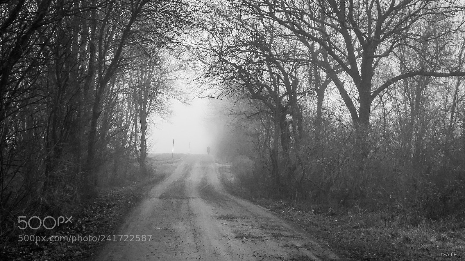 Sony a6500 sample photo. Lonely walk ii photography