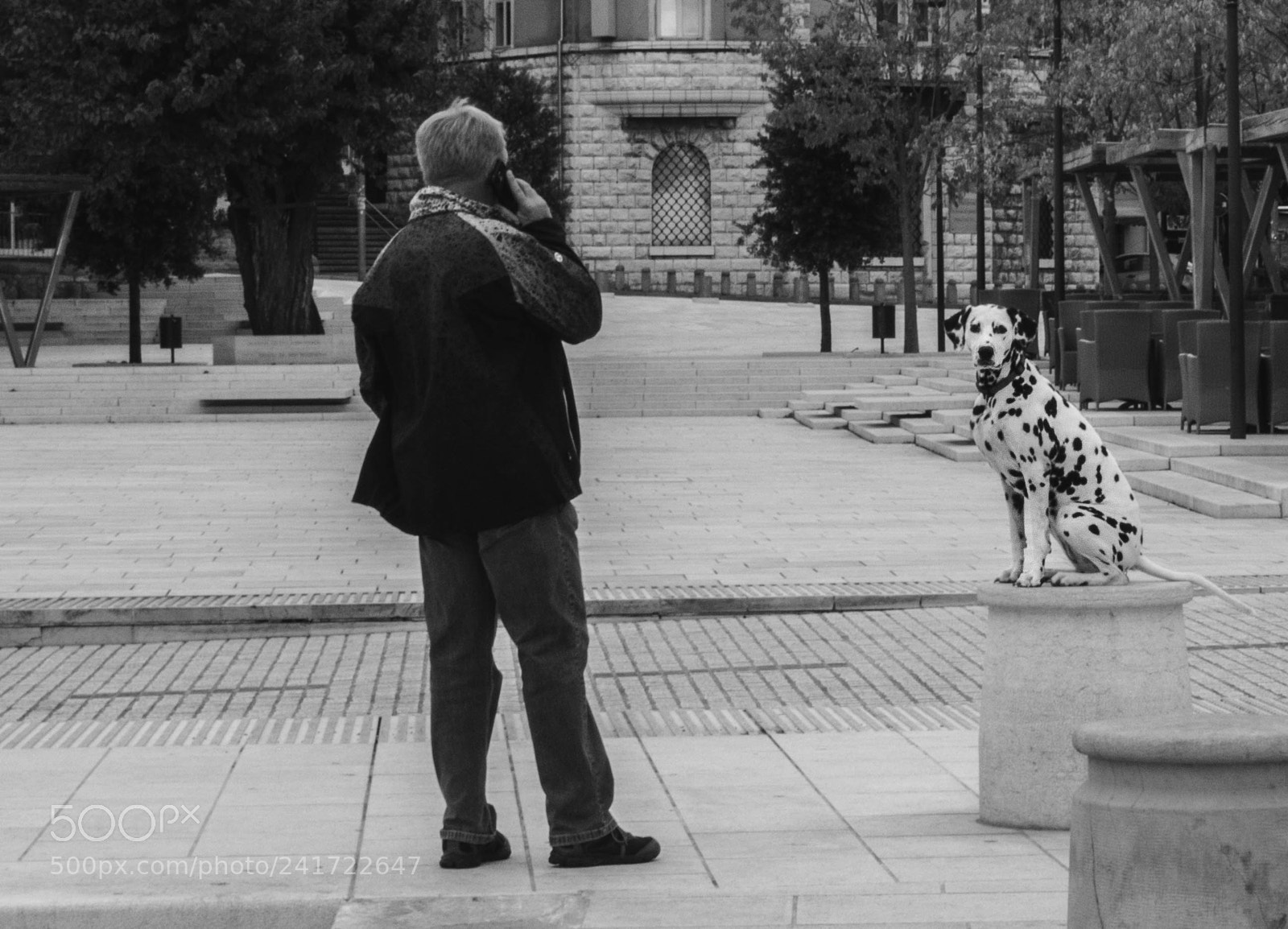 Nikon D3200 sample photo. Who's a good boy? photography