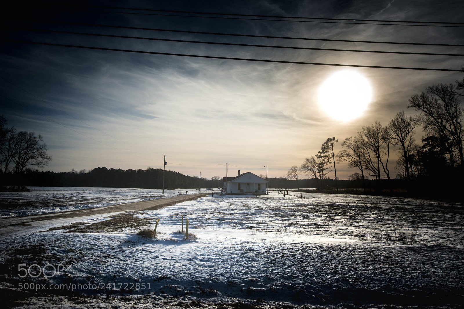 Nikon D7100 sample photo. Wilson photography
