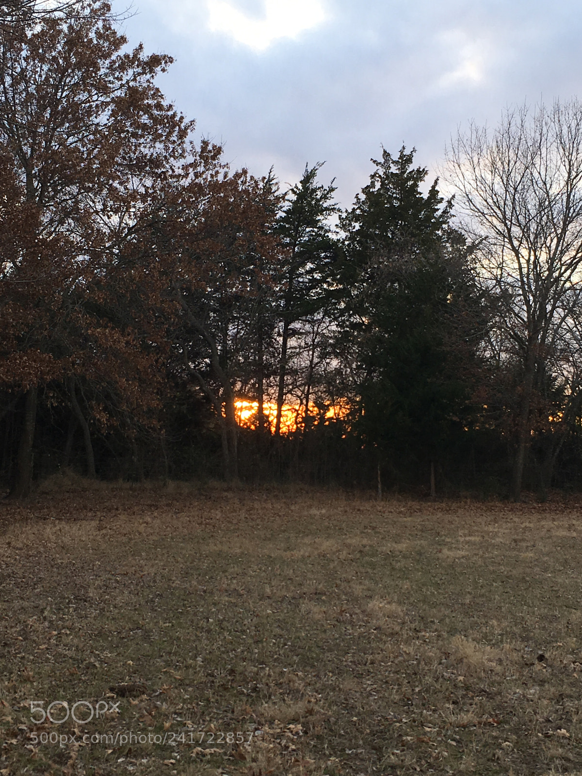 Apple iPhone SE sample photo. Sunset in the afternoon photography