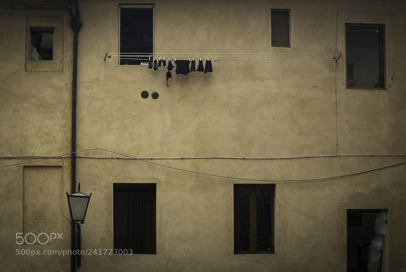 Nikon D800E sample photo. Study in black photography