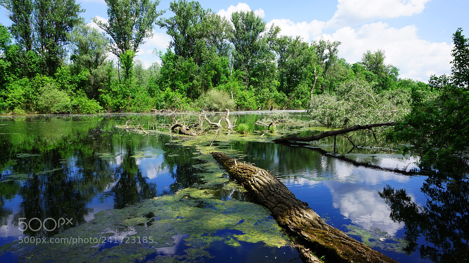 Sony Alpha a5000 (ILCE 5000) sample photo. River dead-tisza next lakitalek photography