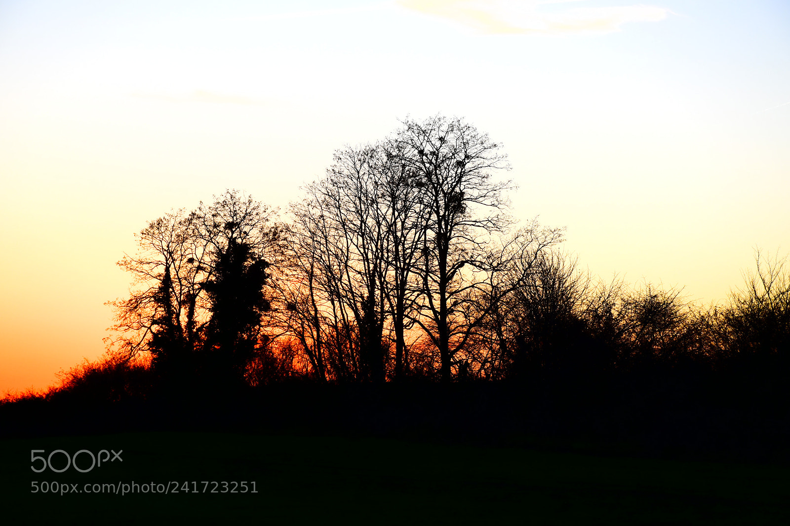 Nikon D5600 sample photo. Sunset photography