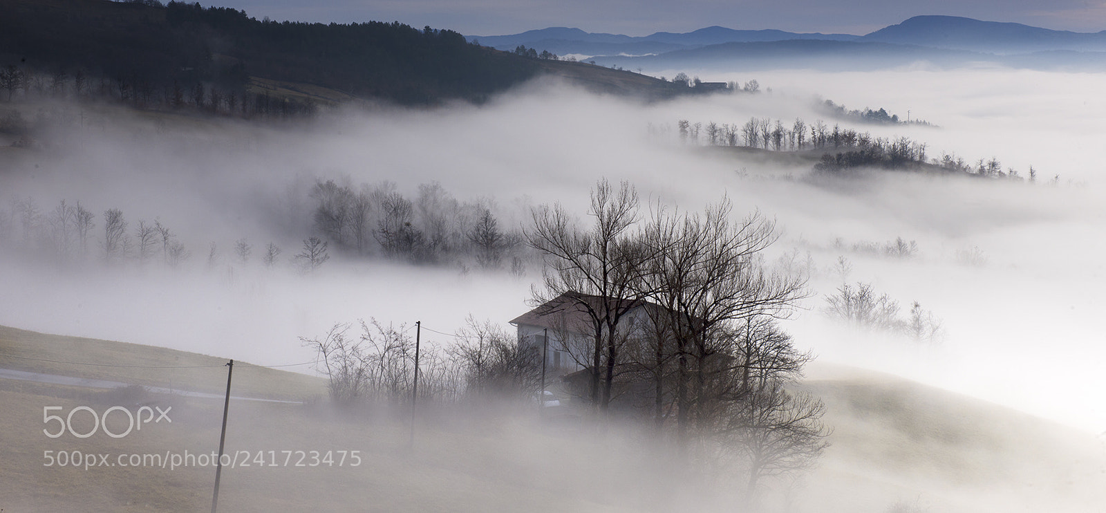 Nikon D3X sample photo. Fog & clouds photography