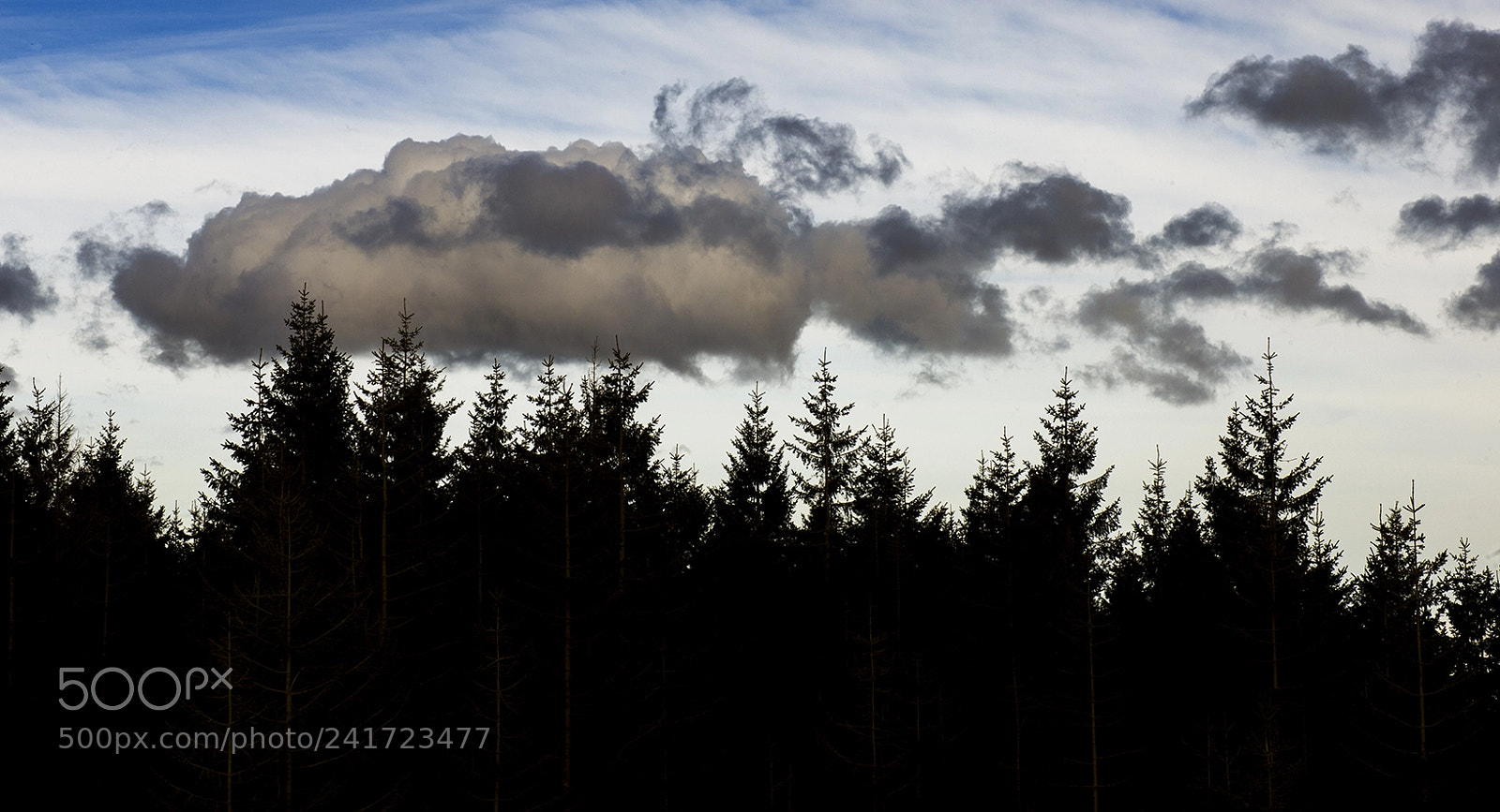Nikon D3X sample photo. Fog & clouds photography
