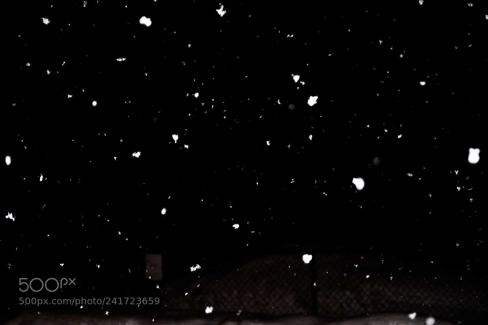 Nikon D3100 sample photo. Night flakes photography
