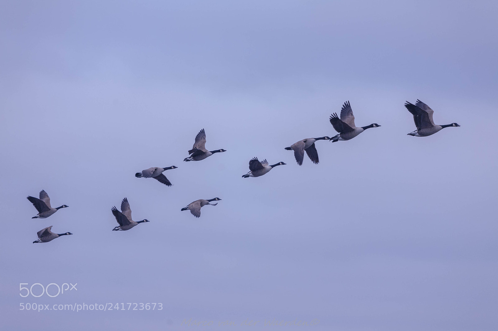 Canon EOS 5D sample photo. In flight photography