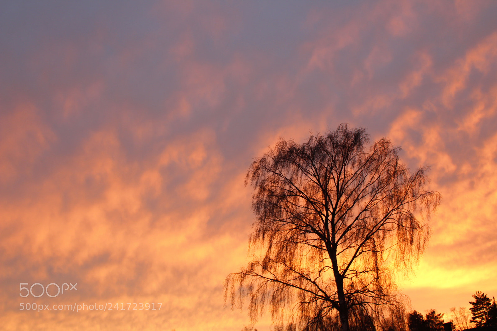 Canon EOS 1300D (EOS Rebel T6 / EOS Kiss X80) sample photo. Sunset and cool sky photography