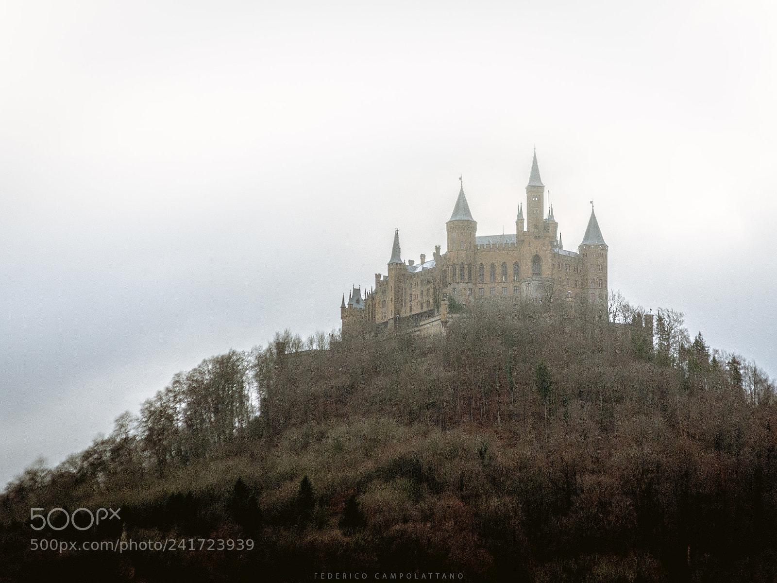 Nikon D7200 sample photo. The hohenzollern castle photography