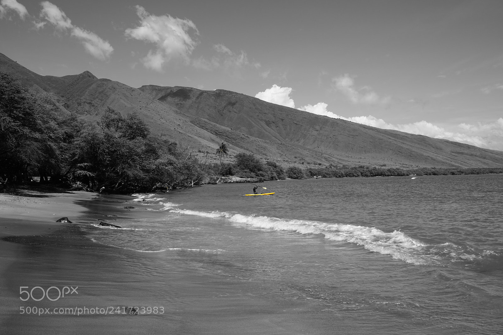 Sony a6000 + Sony E 18-50mm F4-5.6 sample photo. B&w maui photography