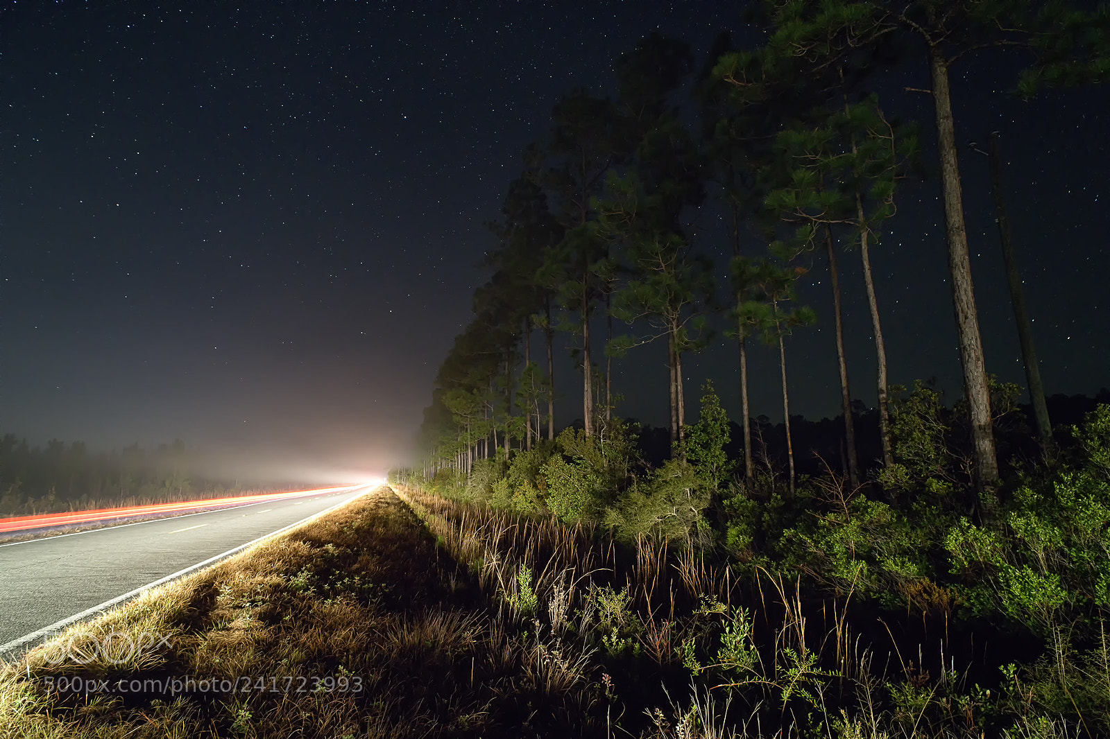 Nikon D850 sample photo. Okefenokee light trail photography