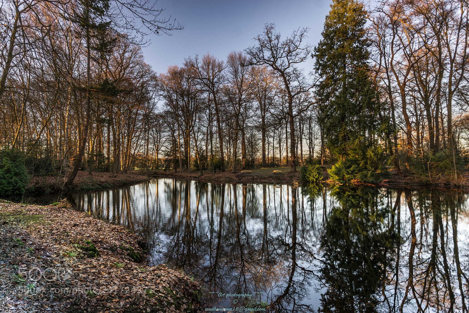 Sony a7 II sample photo. Mirror winter forest photography