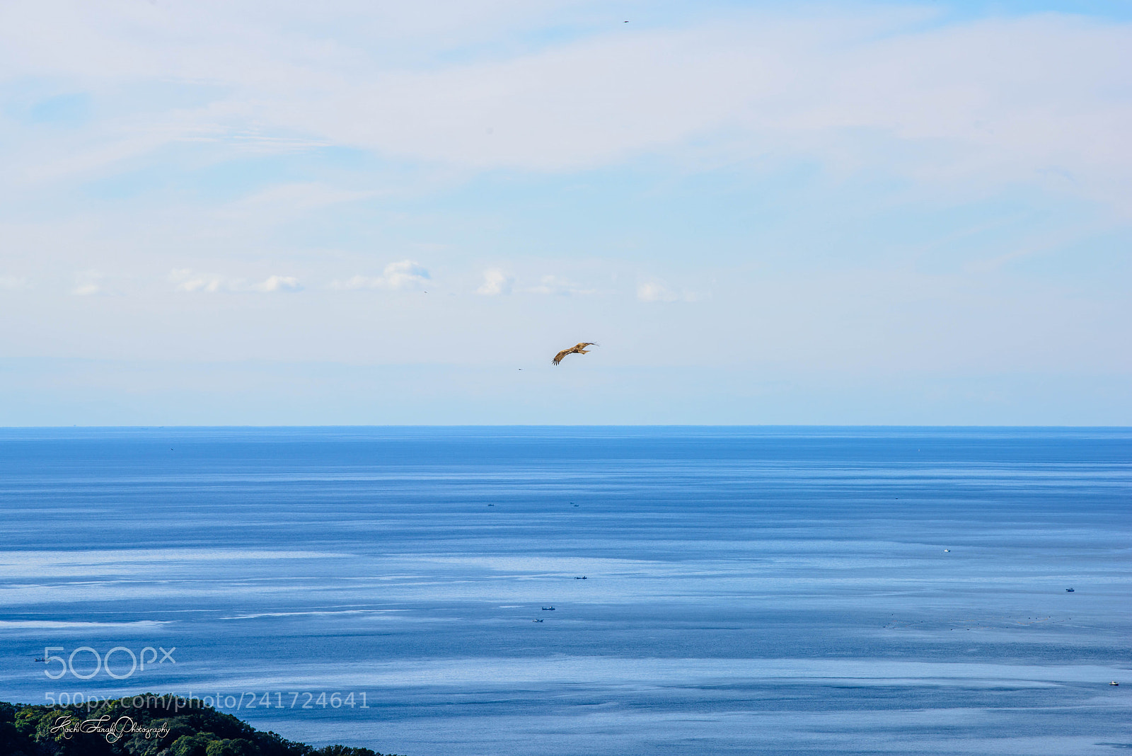 Nikon D810 sample photo. Vast expanse of ocean photography