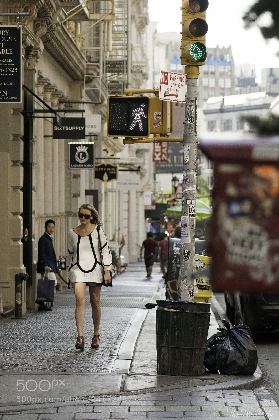 Nikon D300S sample photo. New-yorker's photography