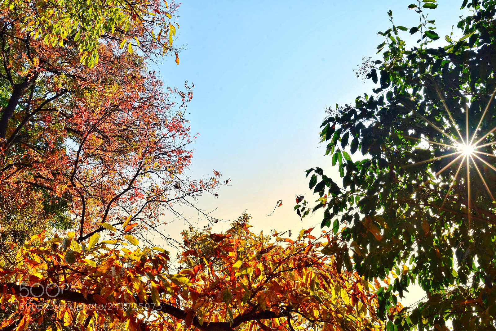 Nikon D7200 sample photo. Winter colors photography